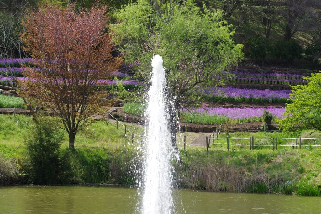 Photo by Naoki Suzuki on Unsplash