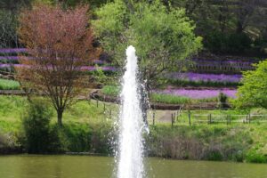 Photo by Naoki Suzuki on Unsplash